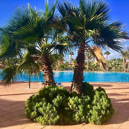 Fuerteventura Apartments Corralejo Dış mekan fotoğraf