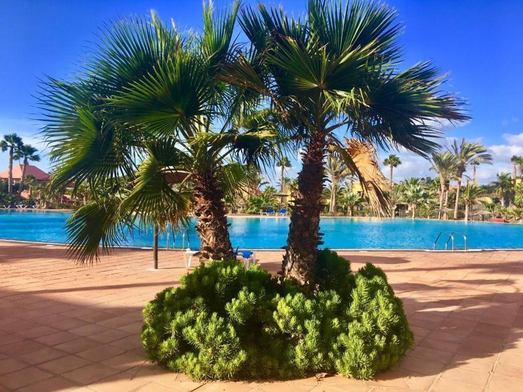 Fuerteventura Apartments Corralejo Dış mekan fotoğraf