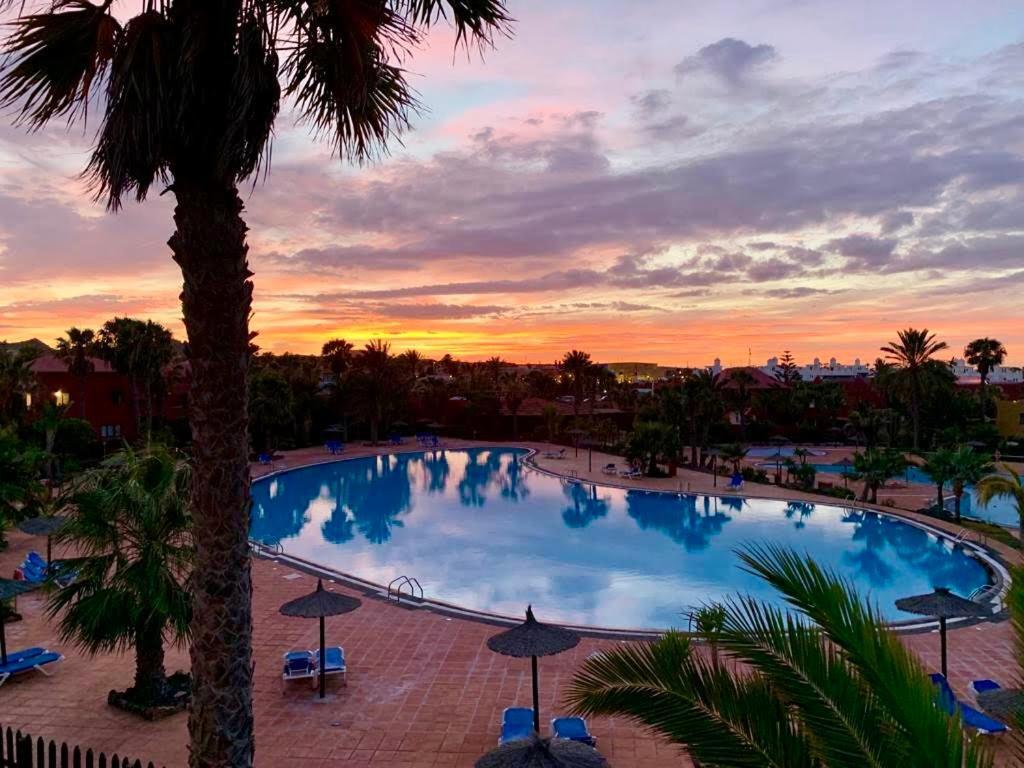Fuerteventura Apartments Corralejo Dış mekan fotoğraf