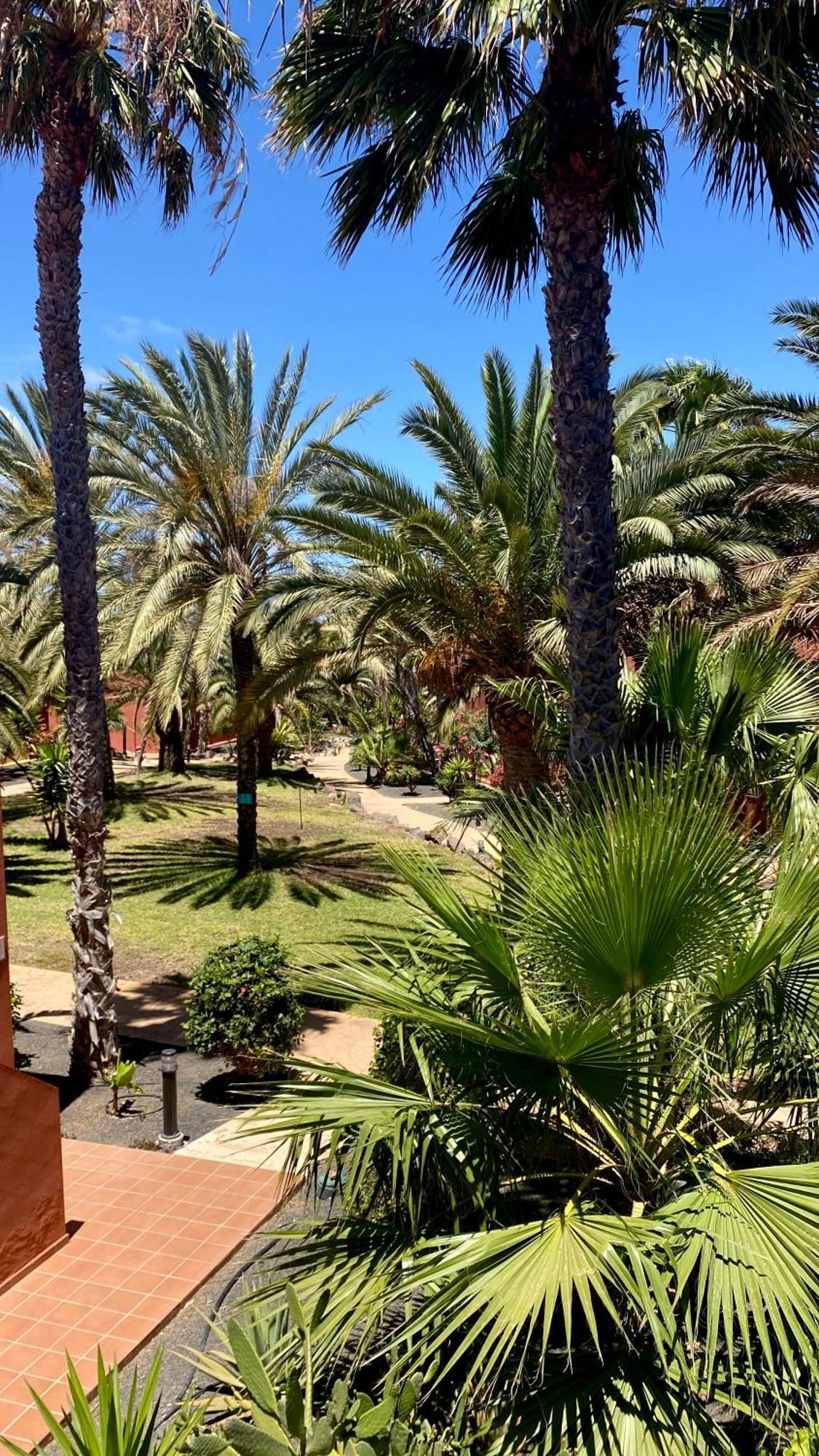 Fuerteventura Apartments Corralejo Dış mekan fotoğraf