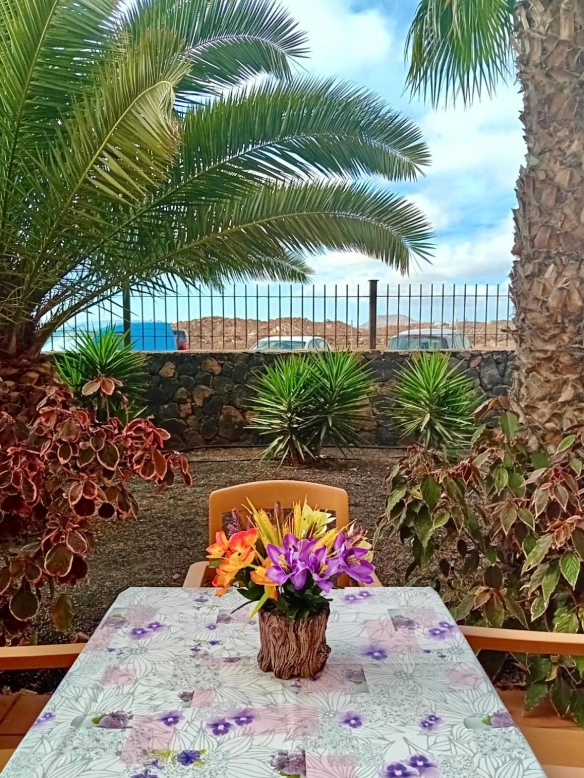 Fuerteventura Apartments Corralejo Dış mekan fotoğraf