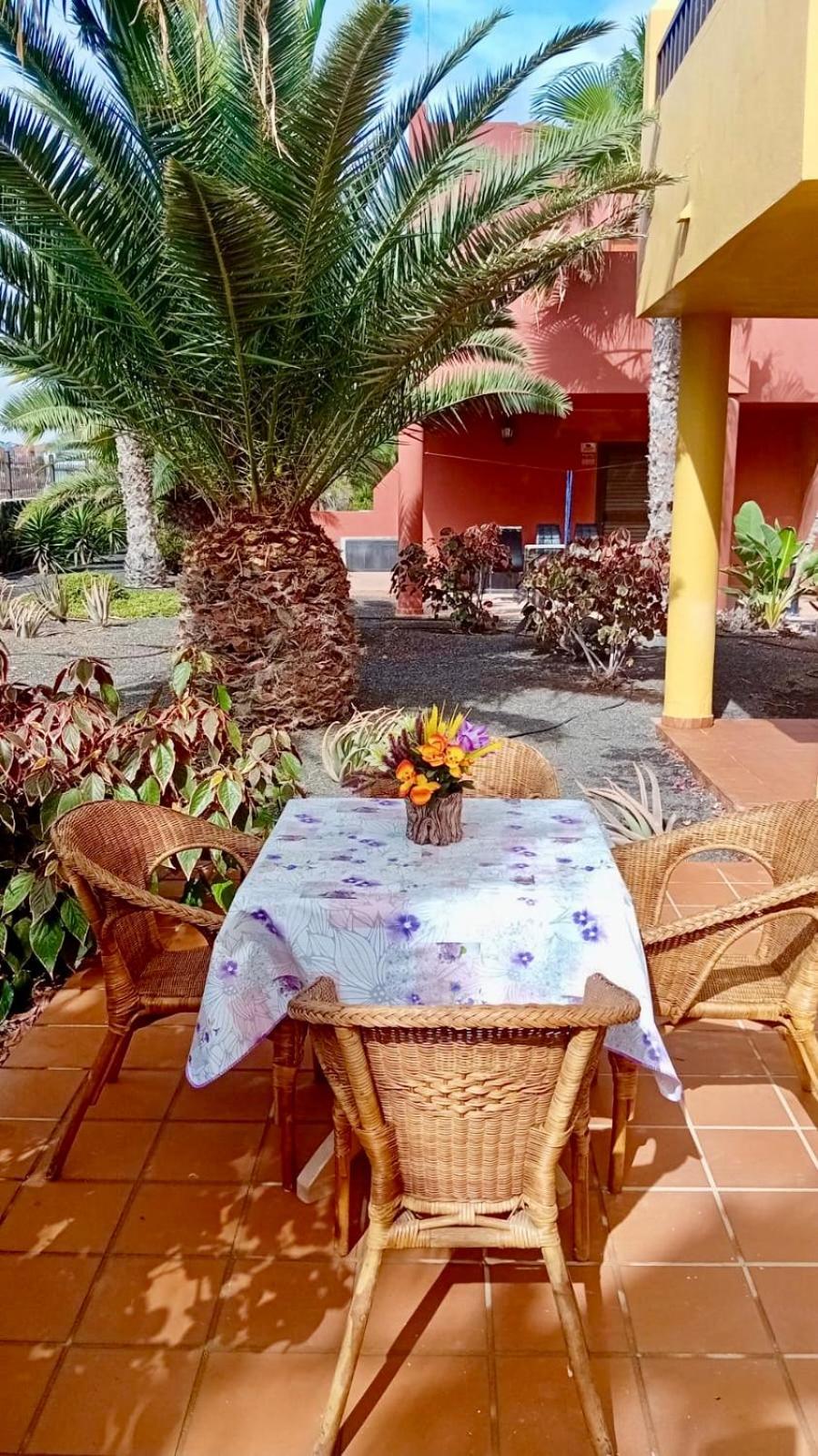 Fuerteventura Apartments Corralejo Dış mekan fotoğraf